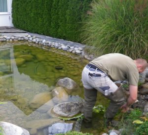 Teichbau für die schönsten Teiche